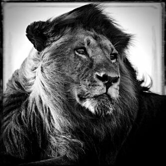 Fascinating wildlife