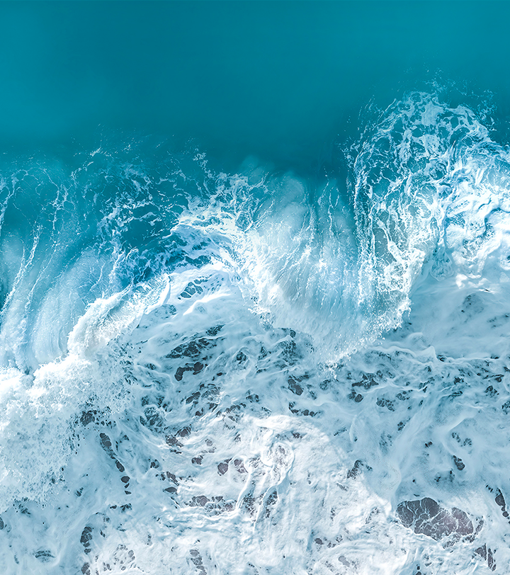 YellowKorner: Art Photography · Art Gallery · Online Photo Purchase