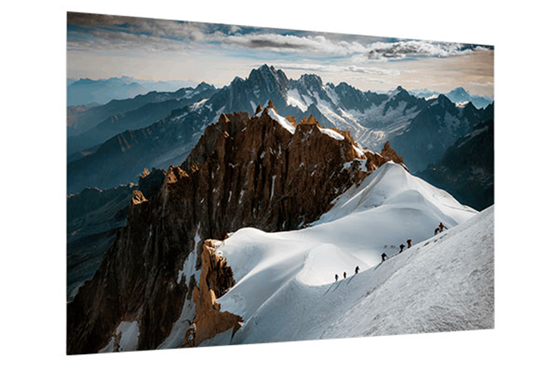 THE SCALE OF NATURE 2.0