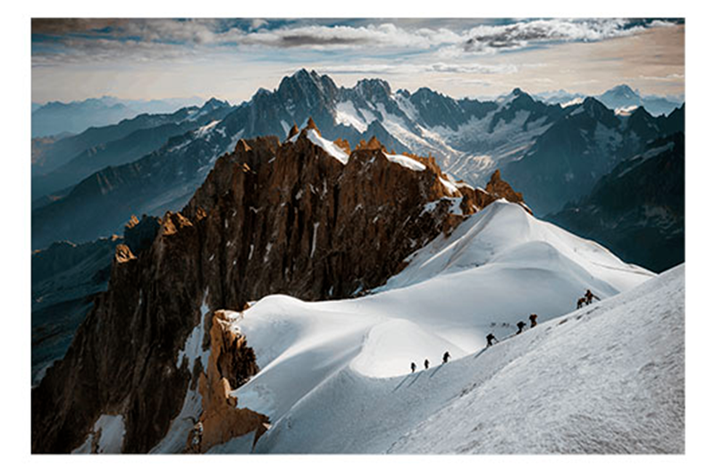 THE SCALE OF NATURE 2.0