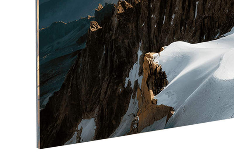 THE SCALE OF NATURE 2.0