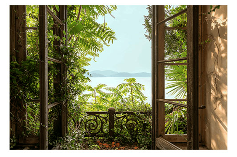 Jardin Oubli&eacute; II